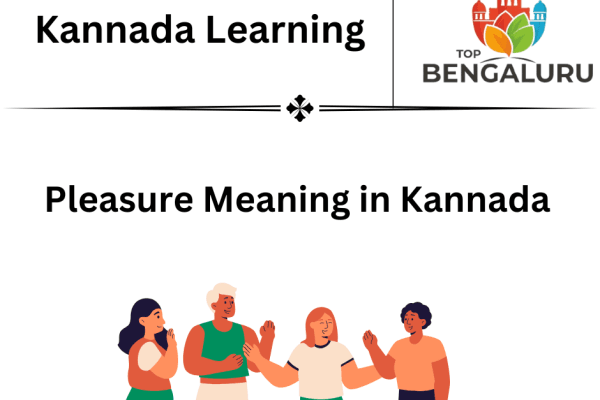 Pleasure Meaning in Kannada