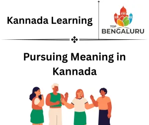 Pursuing Meaning in Kannada