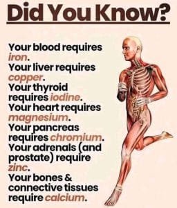 Shenoys Healthcare Solutions