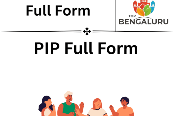 PIP Full Form