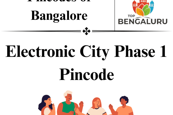 Electronic City Phase 1 Pincode