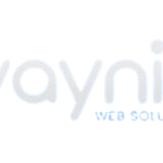 Vaynix Web Solutions