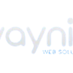 Vaynix Web Solutions