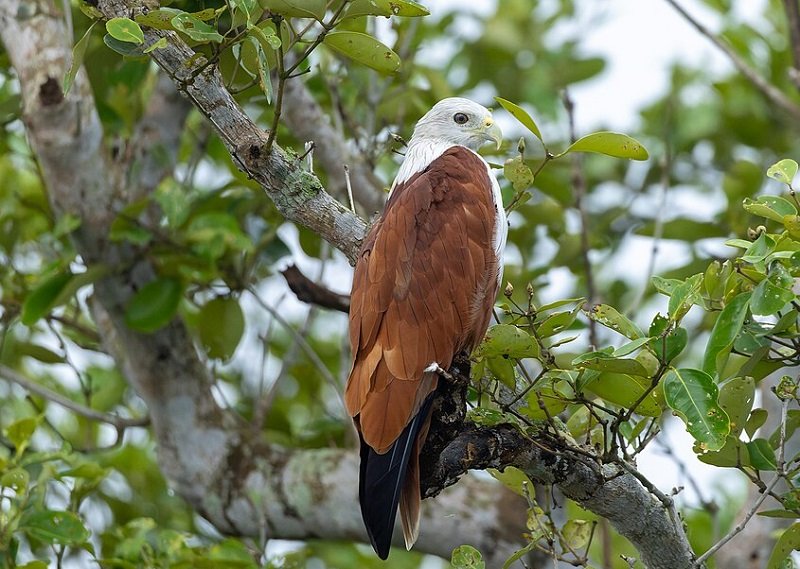 Offbeat Places Near Kolkata