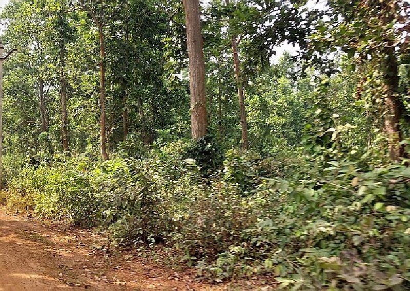 Offbeat Places in West Bengal