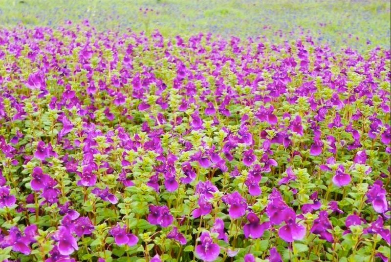 Offbeat Destinations Maharashtra