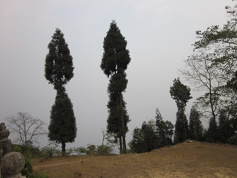 Offbeat Places in North Bengal