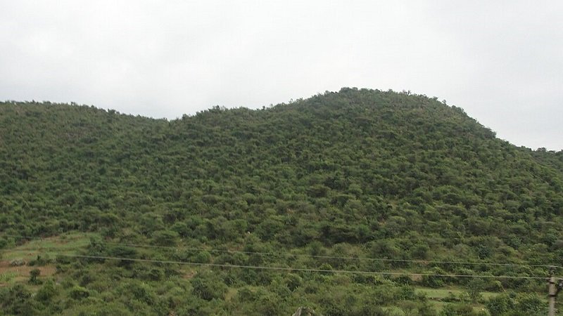 hidden places to visit in Kodaikanal