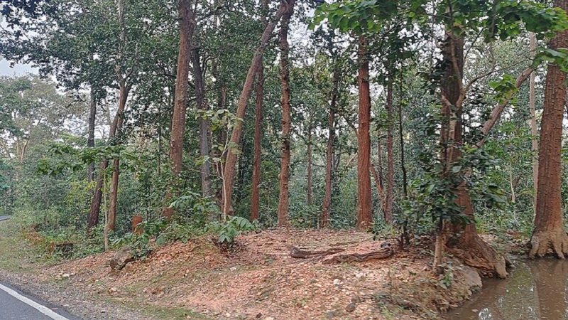 Offbeat Tourist Places in Jharkhand 