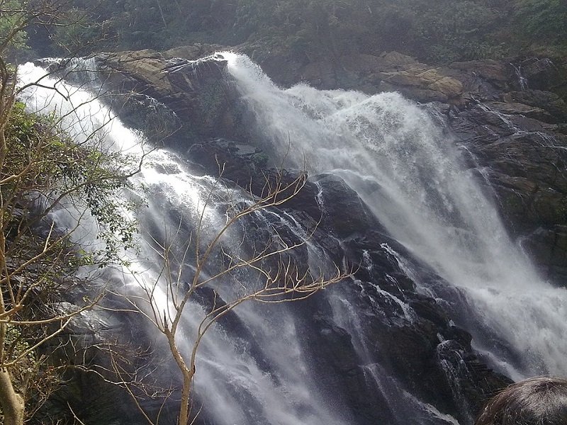 Offbeat Places to Visit Wayanad