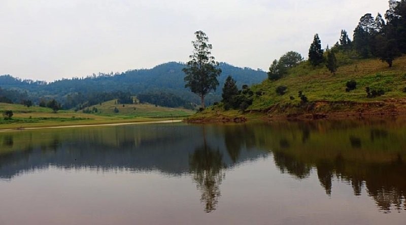 offbeat places to visit in Kodaikanal