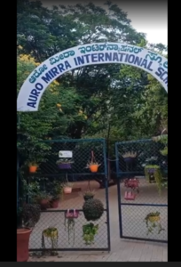 Auro Mirra International School