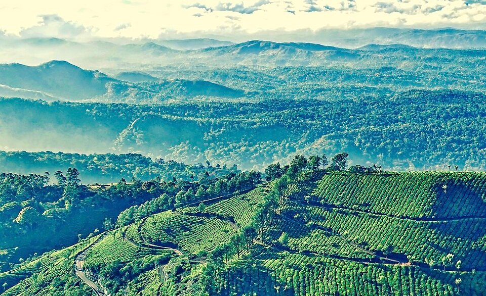 munnar height from sea level, munnar height from sea level in feet, height of munnar from sea level in feet, munnar hills height, munnar height in feet, height of munnar, height of munnar above sea level, munnar elevation