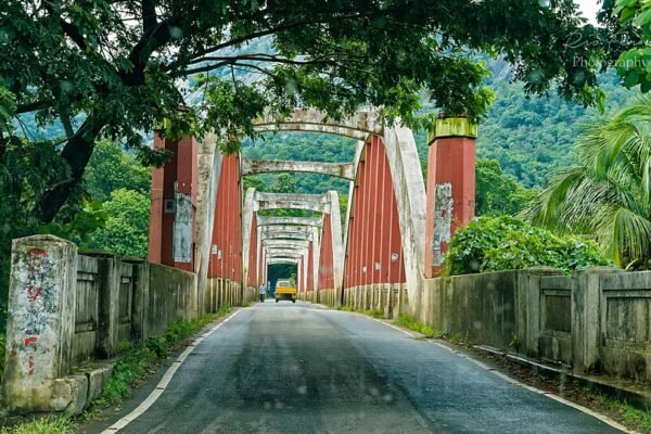 Munnar Height from Sea Level: Complete Guide to Munnar Elevation, Climate & Hill Station Facts (2026)