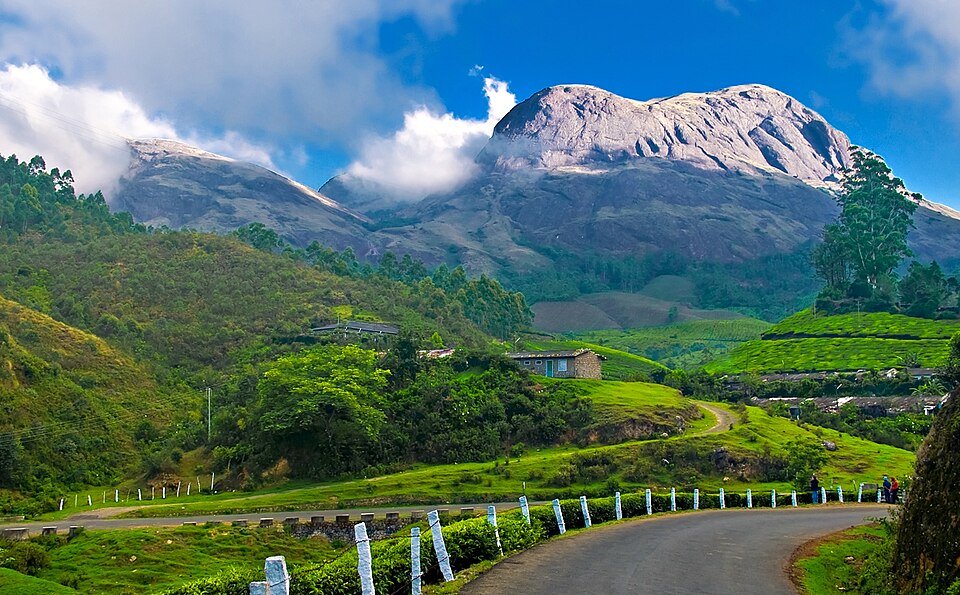 munnar height from sea level, munnar height from sea level in feet, height of munnar from sea level in feet, munnar hills height, munnar height in feet, height of munnar, height of munnar above sea level, munnar elevation