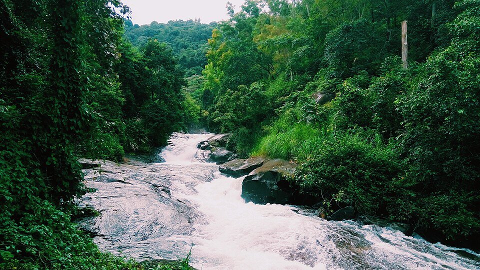 wayanad height from sea level, height of wayanad from sea level, wayanad height, wayanad height above sea level, height of wayanad, wayanad hills height, wayanad hill height, wayanad hill station height, wayanad elevation, chembra peak height, highest peak in wayanad, wayanad weather, places to visit in wayanad, wayanad travel guide, wayanad tourism 2026