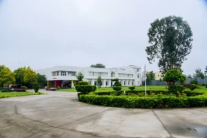 Redbridge International Academy
