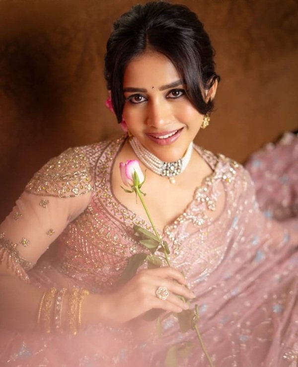 nabha natesh biography, nabha natesh movies, nabha natesh movie list, nabha natesh height, nabha natesh height in feet, nabha natesh family, nabha natesh husband, nabha natesh boyfriend
